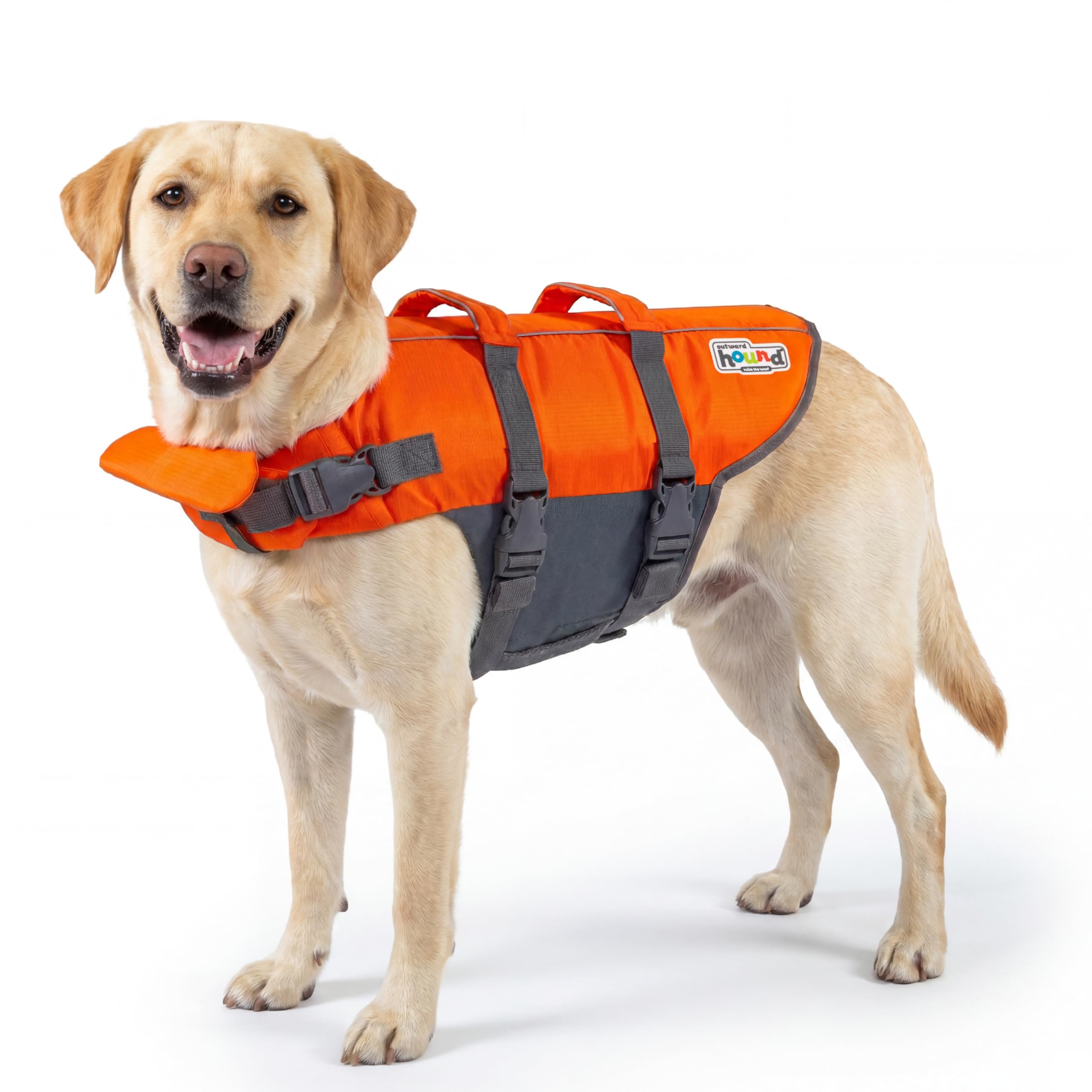 Amazon.com : Outward Hound Granby Splash Orange Dog Life Jacket